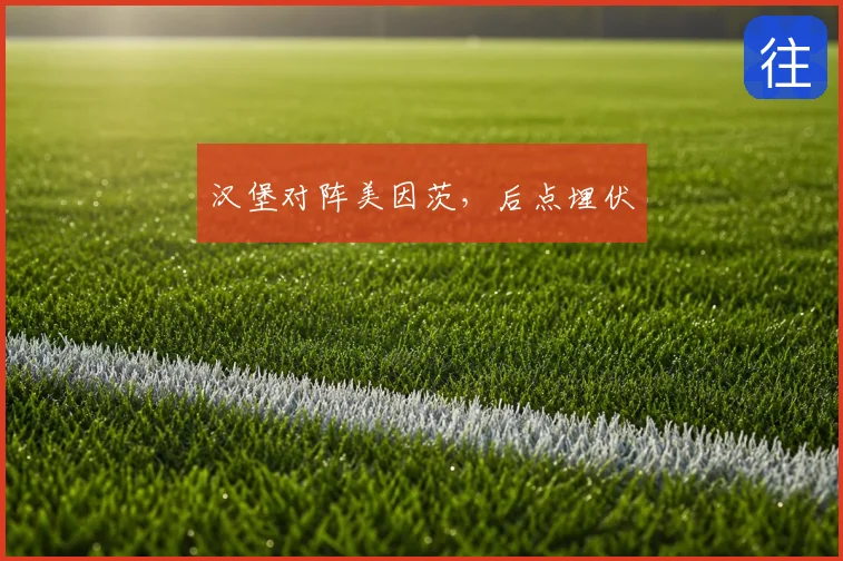 汉堡对阵美因茨，后点埋伏
