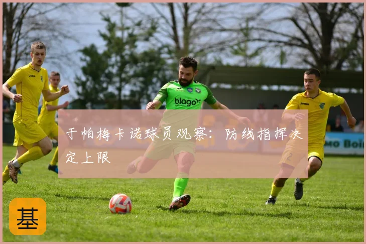 于帕梅卡诺球员观察：防线指挥决定上限